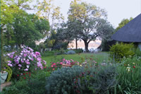 View across the garden towards the dam