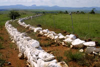 Spioenkop historical site